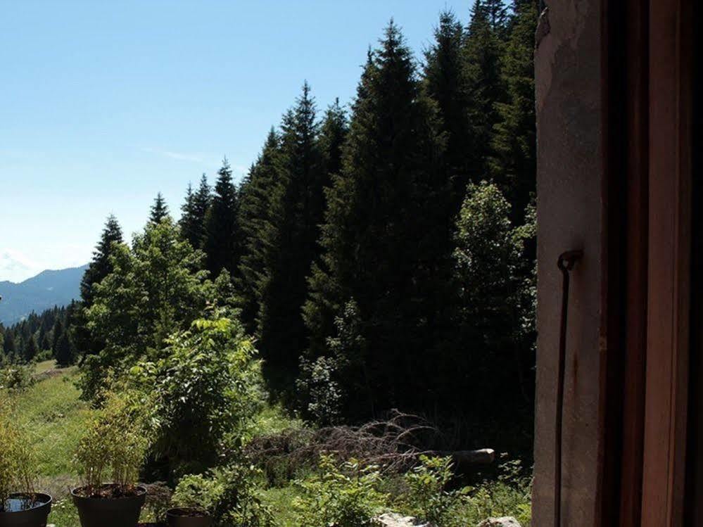 Les Ateliers Du Cucheron Saint-Pierre-de-Chartreuse Exteriér fotografie